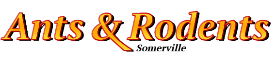 Somerville Ant Exterminator & Rodent Control Company Logo